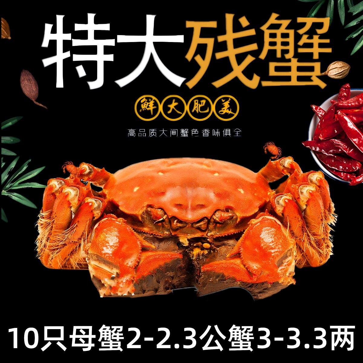【活蟹】残蟹固城湖大闸蟹3斤10只全公蟹3两母蟹2两活螃蟹断脚蟹
