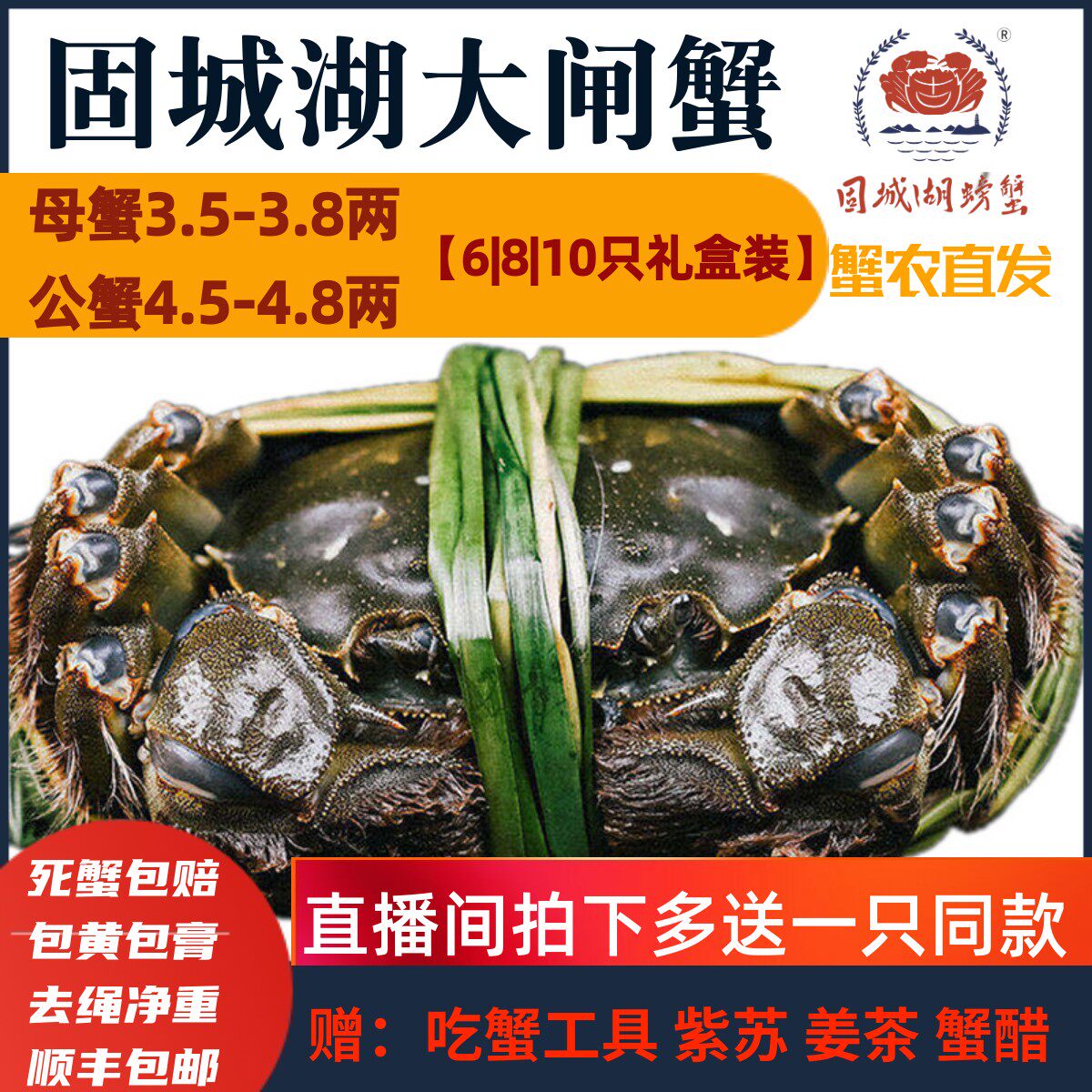 活蟹精品公蟹4.5-4.8两母蟹3.5-3.8两固城湖大闸蟹活螃蟹6|8|10只