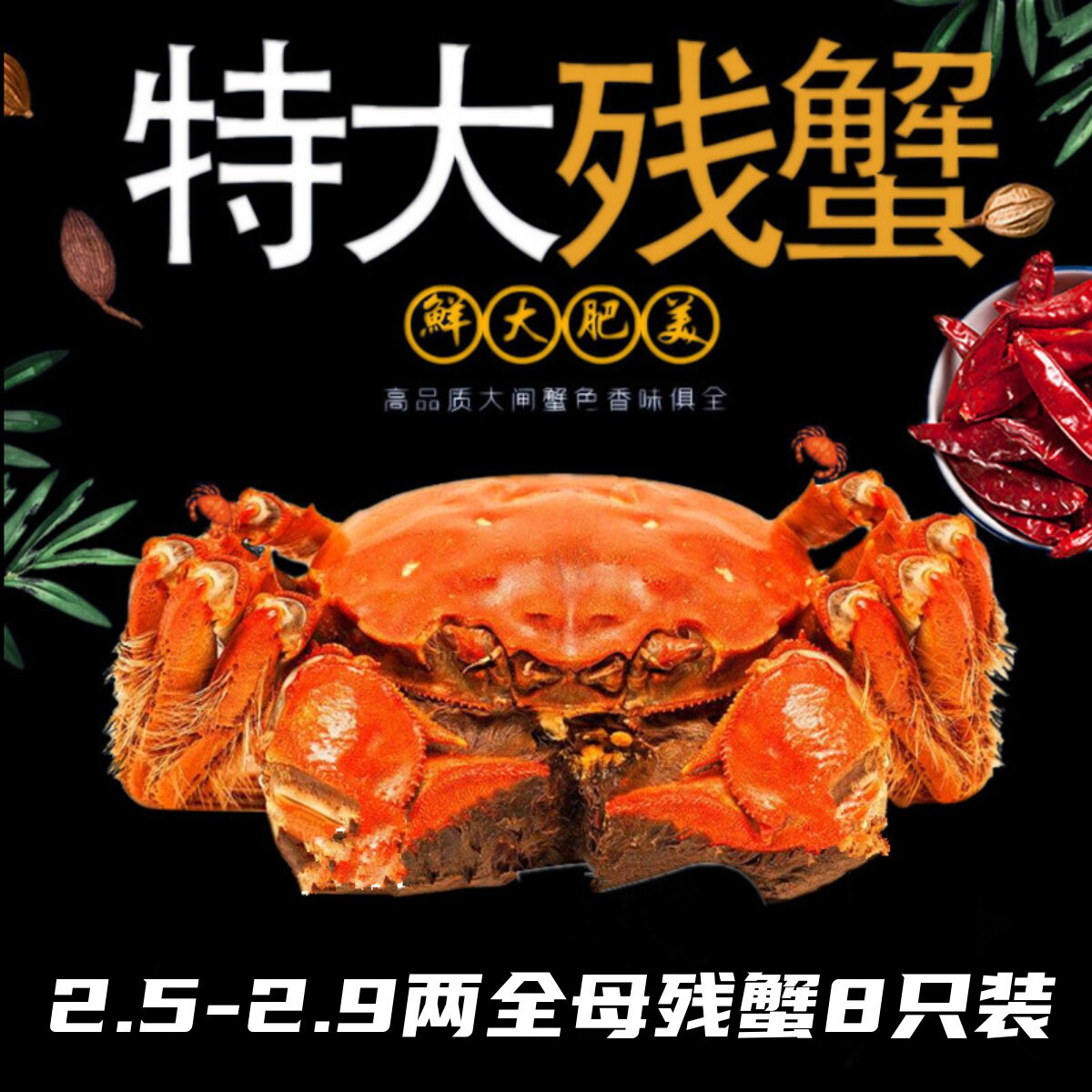 【特大母蟹8只】固城湖大闸蟹鲜活螃蟹断脚蟹残次蟹全母2.5两残蟹怎么看?