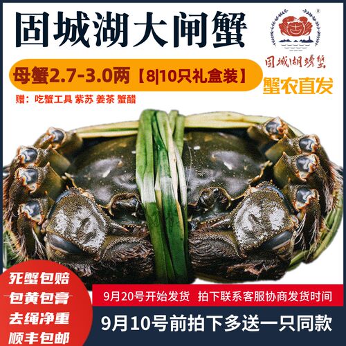 鲜活水产固城湖大闸蟹现货包邮