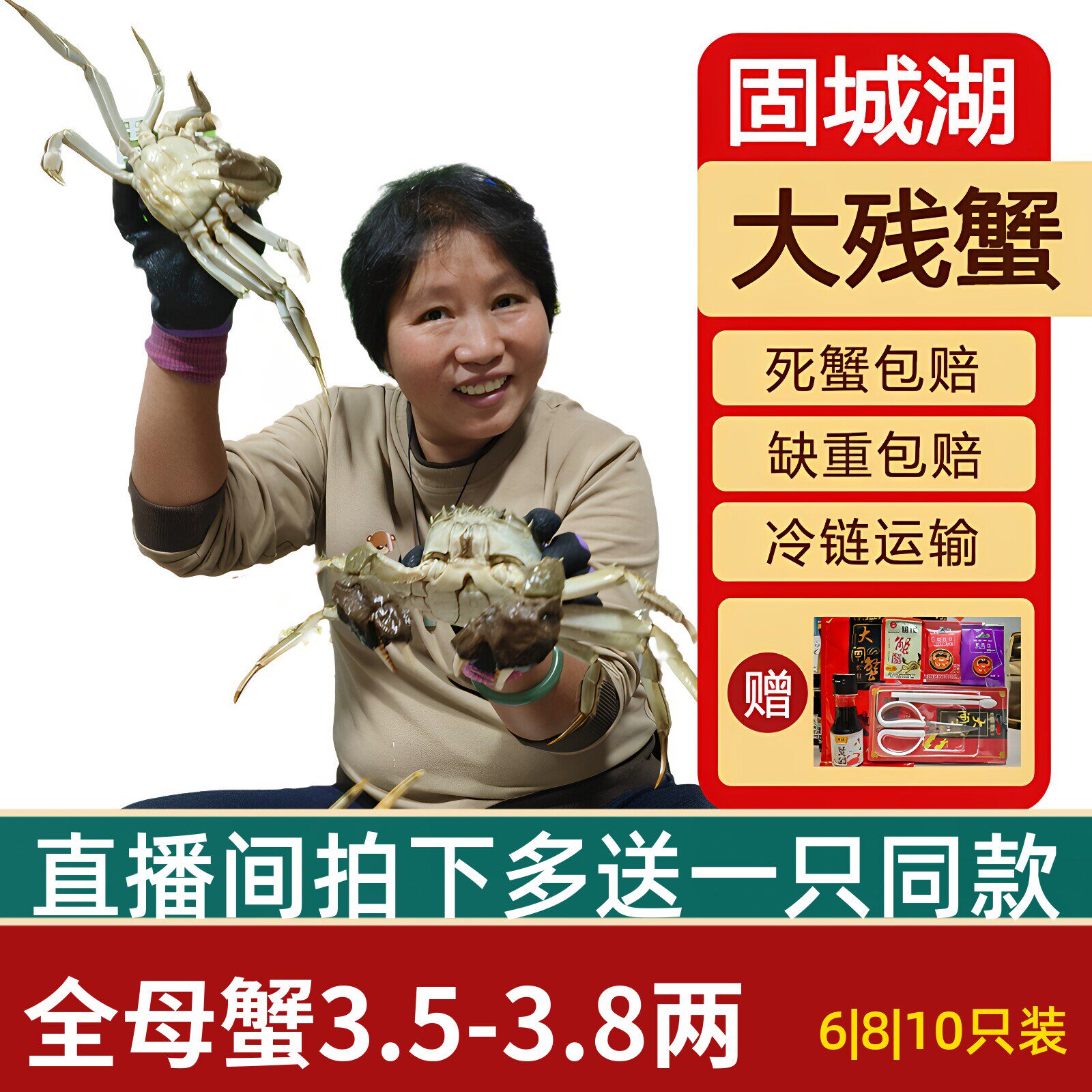 活蟹残蟹】断脚蟹净重全母残蟹3.5-3.8两固城湖大闸蟹6|8|10只装