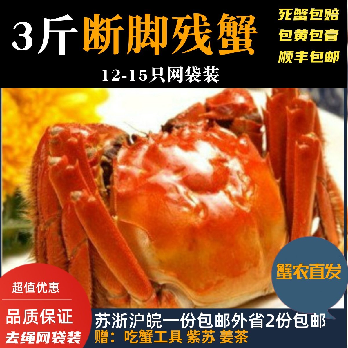 固城湖大闸蟹残蟹水产残次蟹斤装