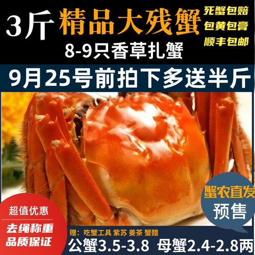 残蟹大自家养殖固城湖大闸蟹鲜活