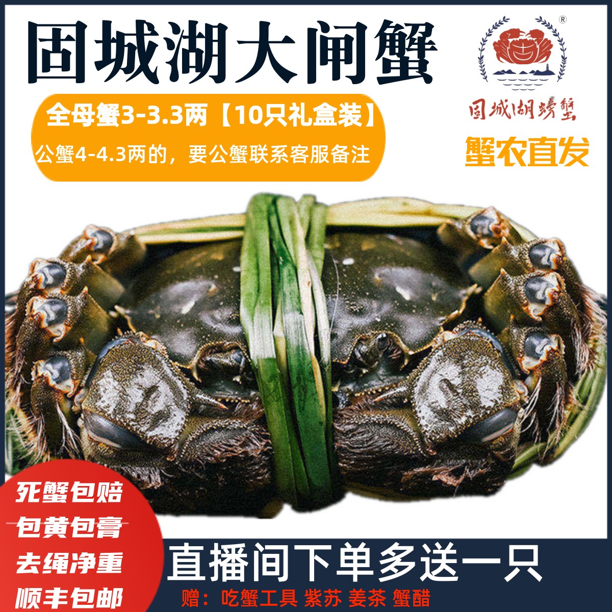 3两鲜活母蟹固城湖大闸蟹现货