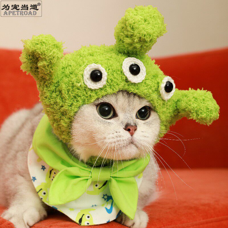 为宠当道猫咪卡通头套
