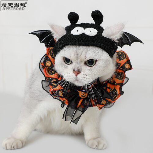 万圣节帽子项圈猫狗拍照