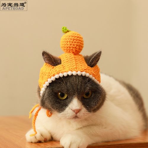 为宠当道猫咪小型犬可爱卡通帽子