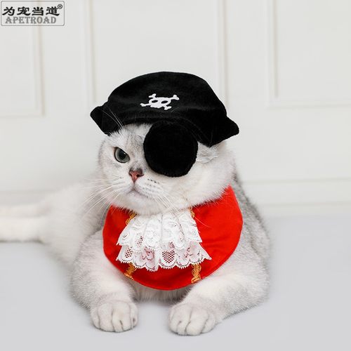 为宠当道猫狗海盗帽眼罩