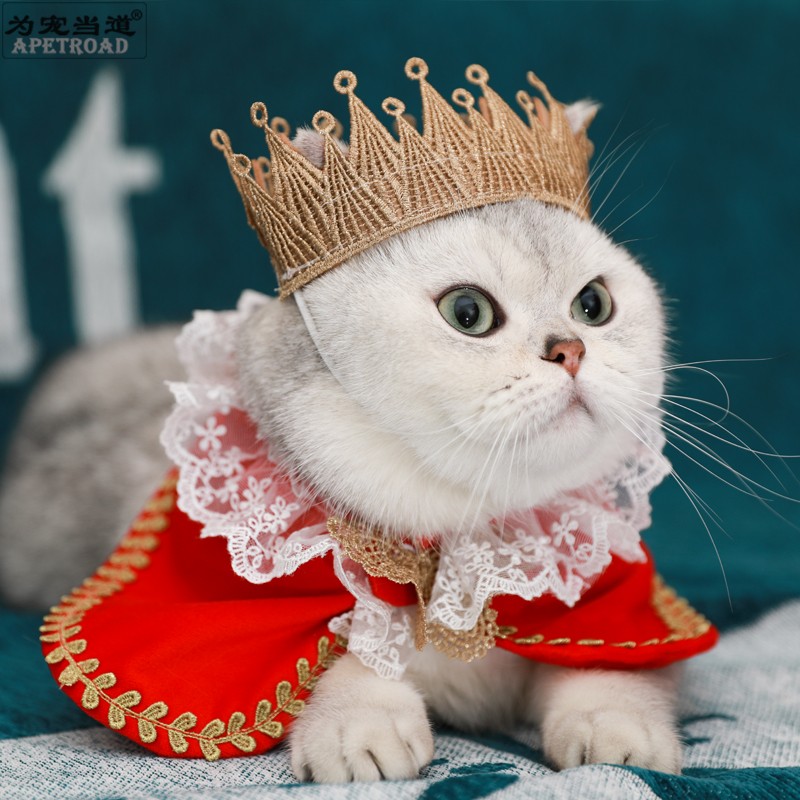 猫咪服饰披风新年喜庆
