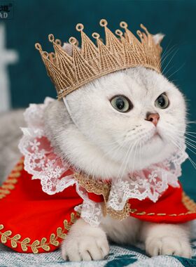 猫咪服饰披风新年喜庆
