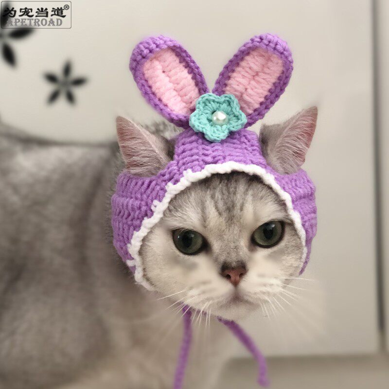 手工宠物猫咪兔耳朵猫猫装饰品