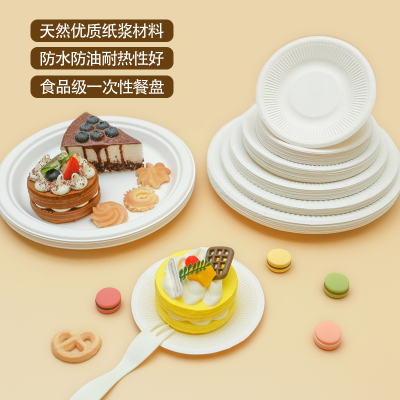 一次性纸盘子手工幼儿园diy美术材料儿童绘画白色纸盘烧烤蛋糕碟