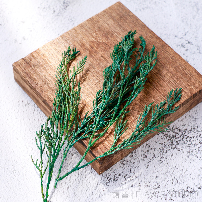 馥蕾 diy香薰蜡牌相框制作装饰干花配草 圣诞柏树松绿色树枝 3g装