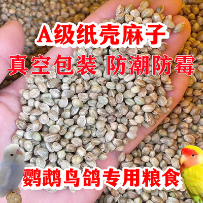 纸壳麻子鹦鹉粮牡丹小太阳