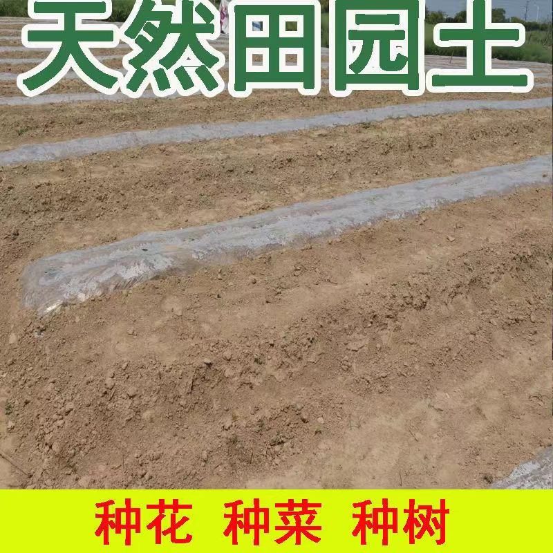 田园土泥土种菜土蔬菜盆景土园林土天然黄土荷塘泥多肉营养土特价
