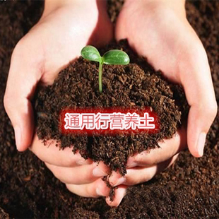 通用有机营养土 君子兰兰花土 多肉土 河塘泥 椰砖土 蛭石 珍珠岩