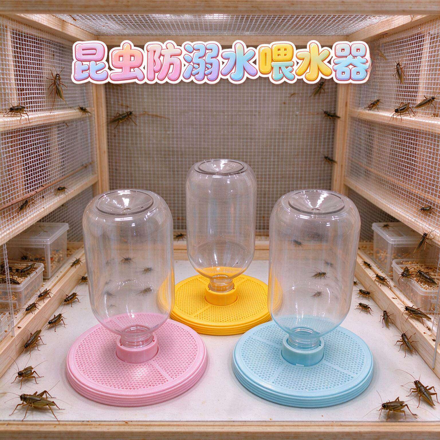 昆虫蟋蟀饮水器喂水防溺水蝈蝈杜比亚油葫芦针头水盆无耗材易清洗