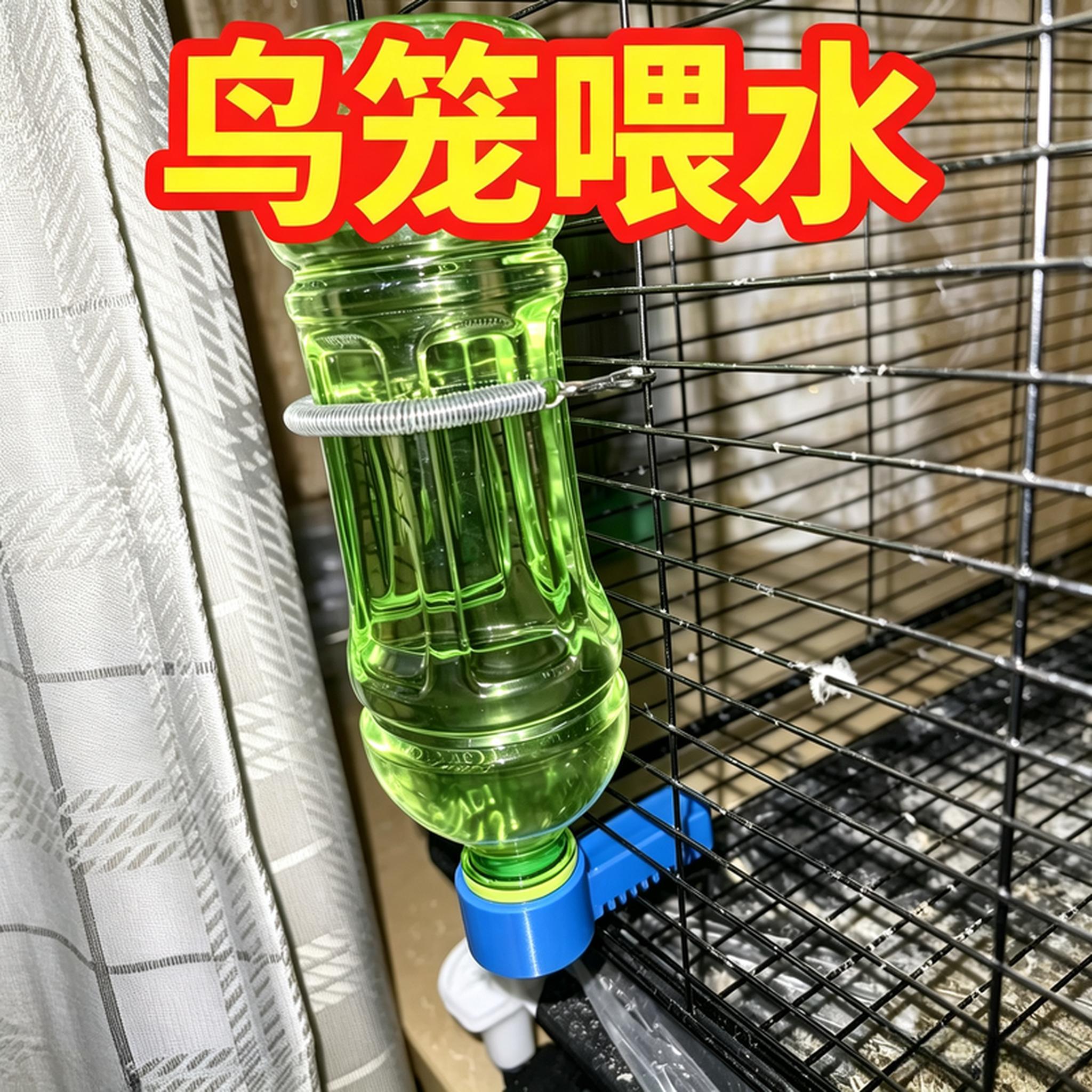 鸟笼喂水器鸽子用具水壶十姐妹信鸽鹦鹉芦丁鸡鸟用自动饮水器水碗图片