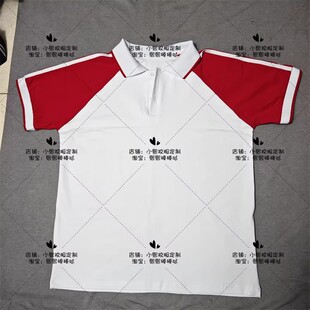 台州市临海市中小学生夏季纯棉校服短袖白色T恤双红袖班服POLO衫