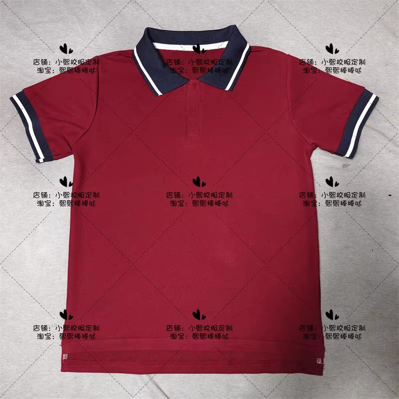 泾河新城学校男女同款夏季珠地棉校服/园服
