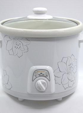 Care/科力佳 3.5L/5.0L电炖锅机械汤锅粥煲陶瓷炖锅DDG-35A/50A