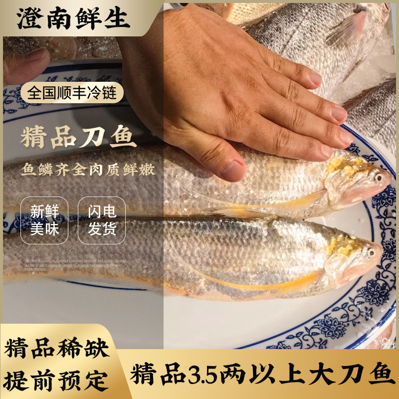【直播福利】江阴优质冰鲜刀鱼3.5两3条海刀鱼新鲜顺丰空运