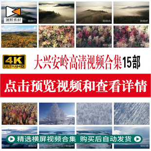 大兴安岭森林风景林海雪原茂林北国风光高清航拍背景视频背景素材