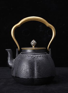 典工堂铁壶双铜南瓜铸铁壶无涂层生铁茶壶烧水壶功夫茶具家用批发