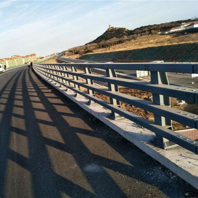 防撞桥河道栏杆高景观不锈钢边护栏桥道路防撞桥梁天安全架