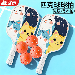 匹克球拍板全套pickleball儿童初学者套装 专业比赛拍板运动训练拍