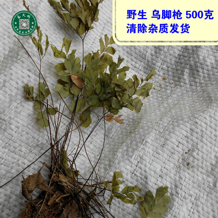 乌脚枪 铁鲁萁黑脚蕨黑骨芒萁过坛龙 铁线草500克 新货包邮