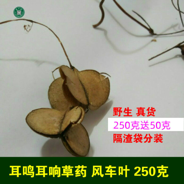 草药 风车儿 风车叶 风吹叶李 风车叶子 耳响鸣 300克 包邮