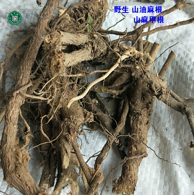 山麻甲根  大山麻 石秤砣 山油麻 坡油麻根头 500g 拍2斤包邮