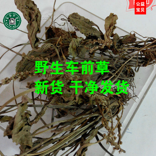 无硫 车前草 车轮菜 猪肚菜500g  新货 干净发货包邮
