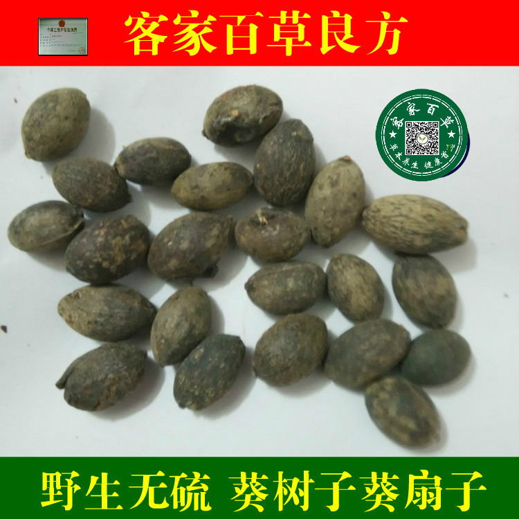 葵扇子 葵扇籽 葵树籽 葵树子 蒲扇子 蒲葵子500克