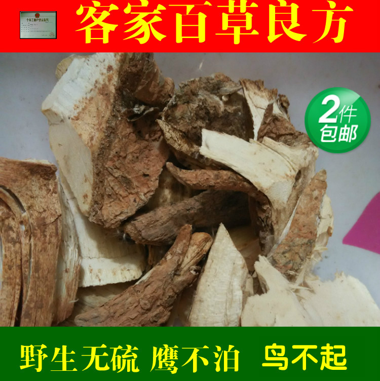 鹰不泊 簬刀簕 鹰不扑 鸟不宿 刺老包 鸟不企 鸟不起 包邮