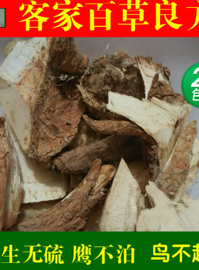 鹰不泊 簬刀簕 鹰不扑 鸟不宿 刺老包 鸟不企 鸟不起 包邮