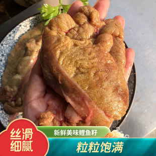新鲜鲤鱼籽2斤鱼白鱼泡鲢鱼籽鱼杂鱼肚鱼子鱼宝鱼肠饭店商用家用