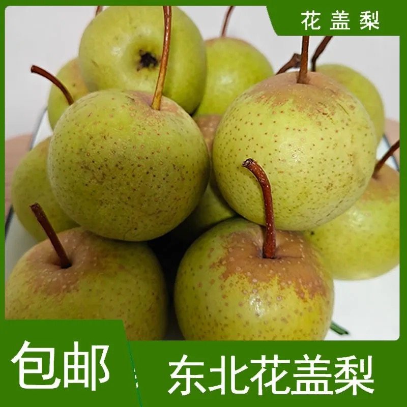 东北老品种花盖梨新鲜水果酸梨东北酸梨可冻梨2025自产自销可代发
