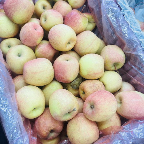 野生苹果健康苹果老人孕妇小孩营养苹果带皮吃的苹果自然熟苹果