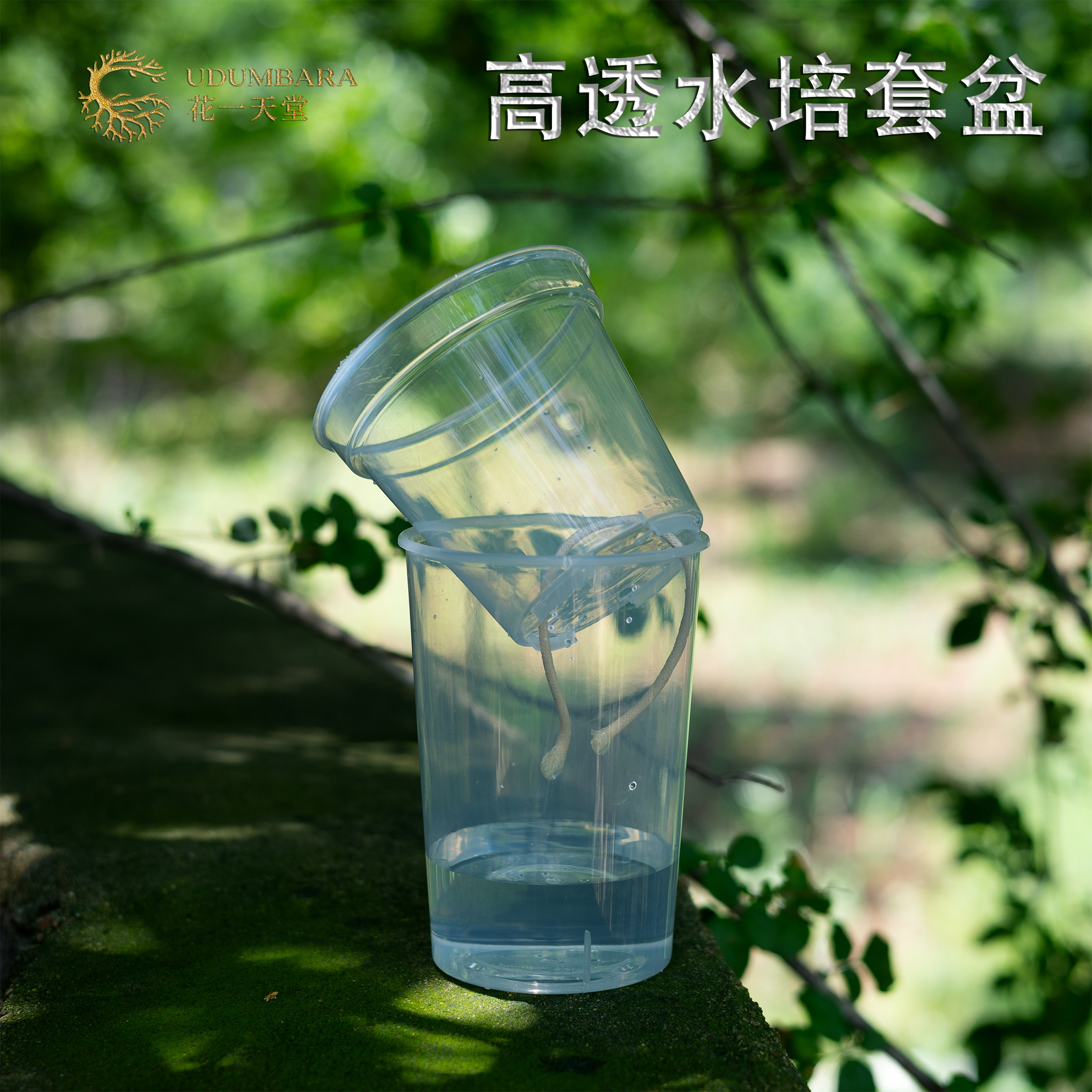 花一天堂水培套盆热植种植图片
