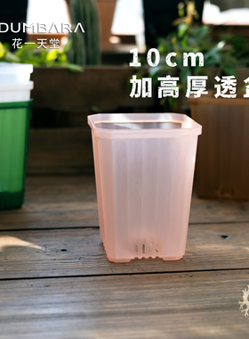 花一天堂花盆加高厚10cm方口半透明塑料彩色多肉热绿植蝴蝶兰花盆