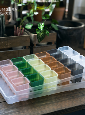 花一天堂半透7方多肉塑料花盆托架浸水盘闷养阳台控养育苗播种盘