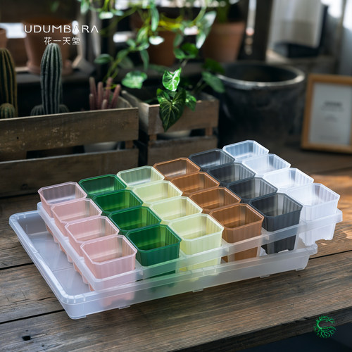 半透明7方盆托架浸水盘组合