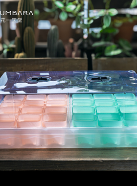 花一天堂6.5口径半透多肉塑料花盆托架浸水盘整理阳台控养育苗盆