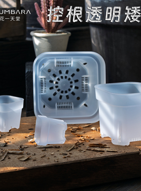 花一天堂特厚透明多肉塑料矮方花盆迷你特大号块根仙人球种植育苗