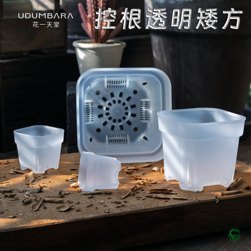 花一天堂特厚透明矮放方盆