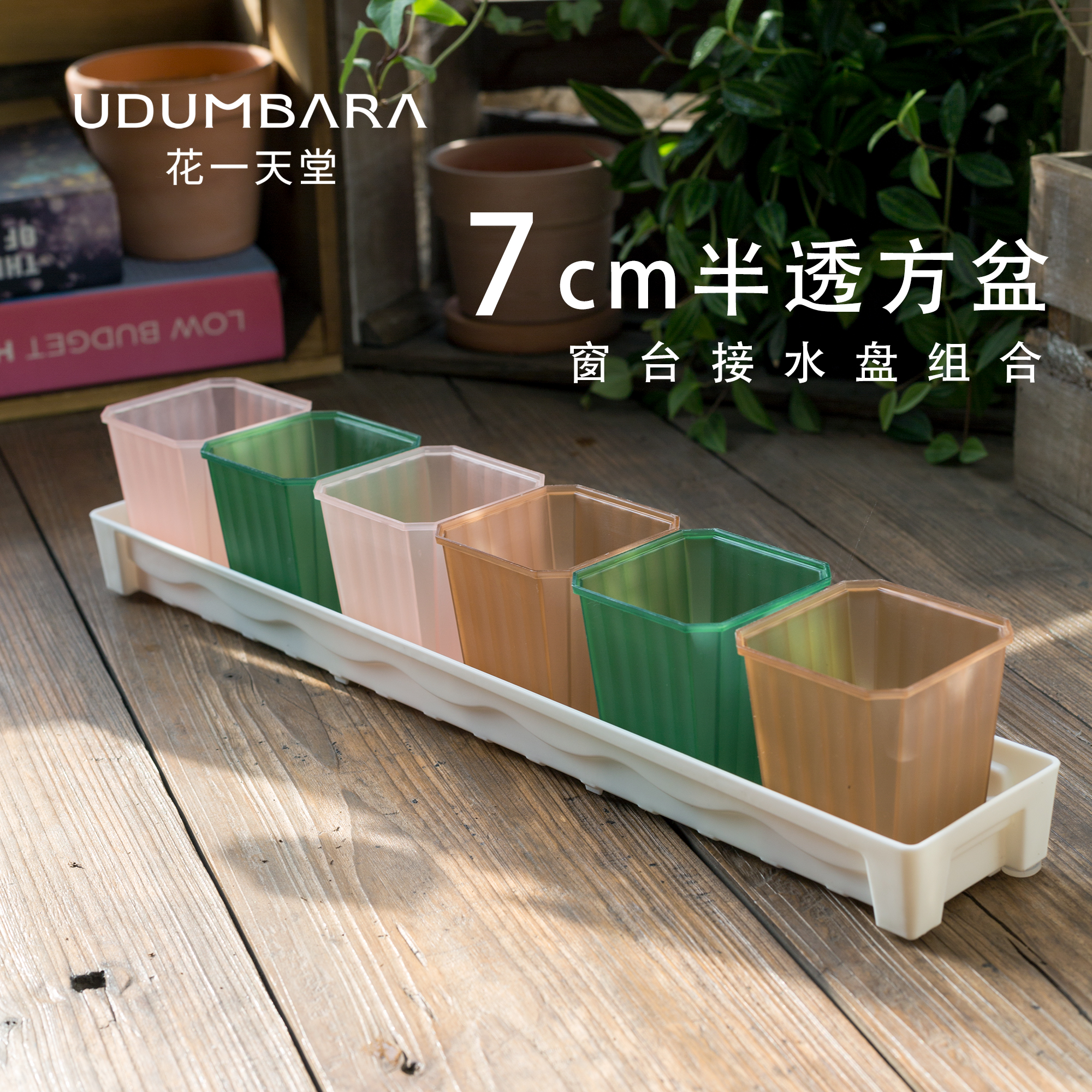半透7方多肉塑料花盆托架