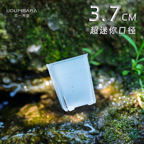 3.7cm迷你多肉塑料控根拇指方盆