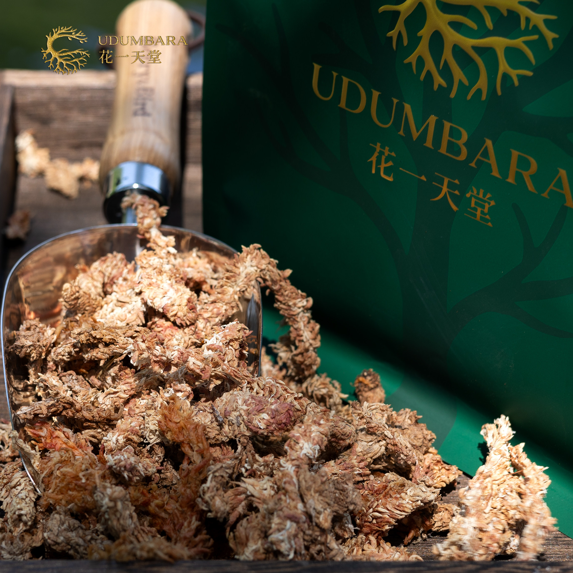 智利进口毛毛虫水苔七星干苔藓文心兰石斛蝴蝶兰专用土龟爬宠垫材